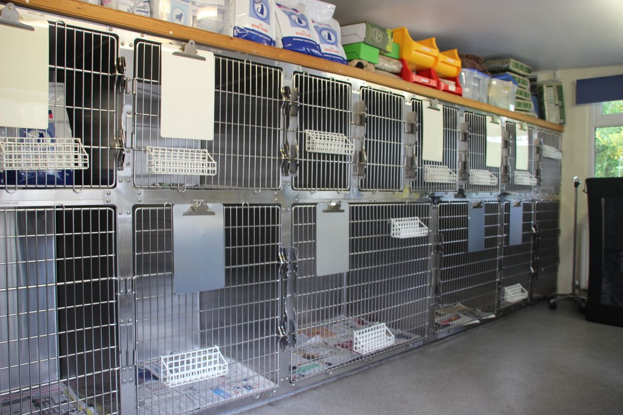 Kennels at vets in Croydon
